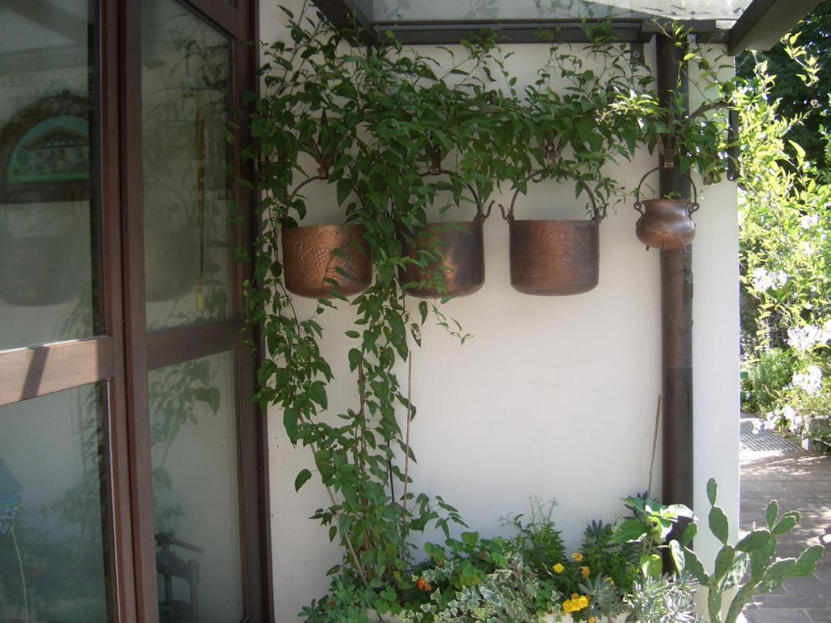 B&B Scaccia Pensieri Tarcento Bagian luar foto